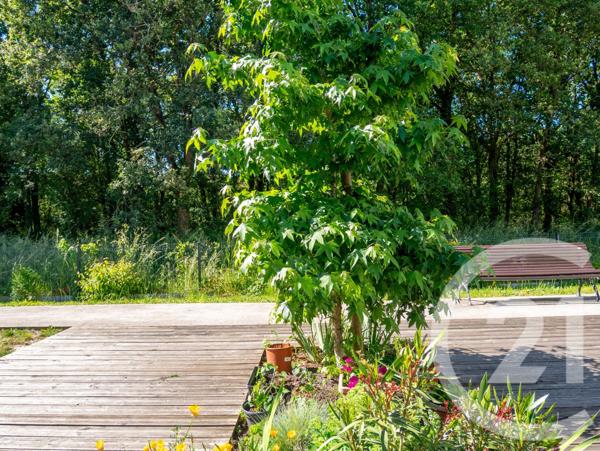 Appartement T2 à vendre  2 pièces - 40,39 m2 OLONNE SUR MER - 85