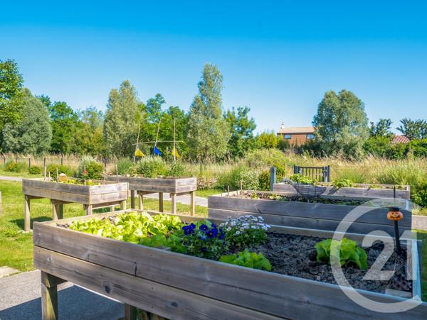 Appartement T2 à vendre  2 pièces - 40,39 m2 OLONNE SUR MER - 85