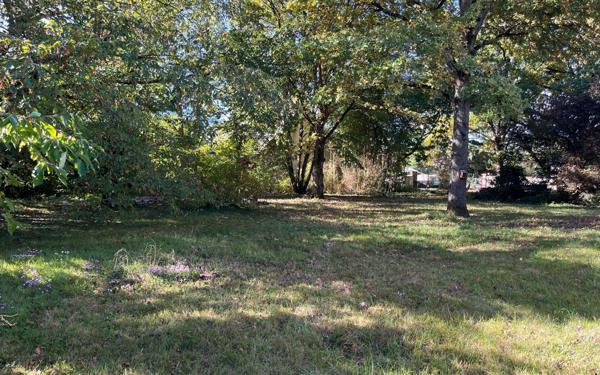 Maison à vendre    4 pièces •  Saint-Denis-en-Val