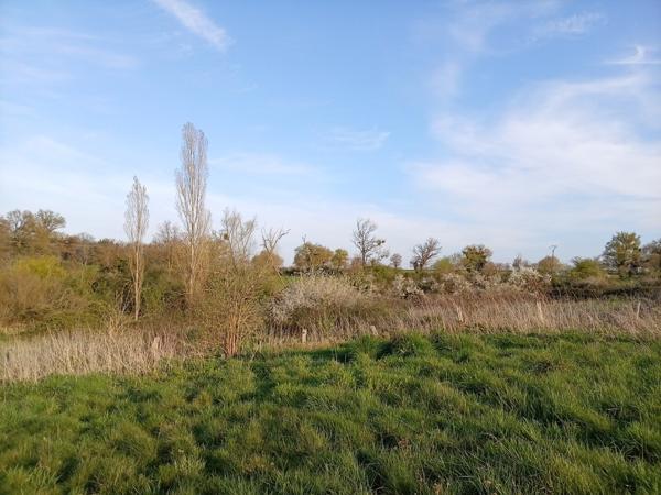 Petit paradis sur 3,8 ha