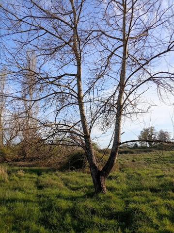 Petit paradis sur 3,8 ha