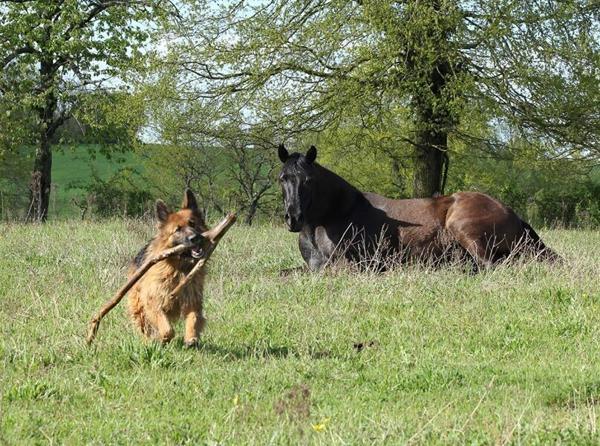 Petit paradis sur 3,8 ha