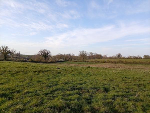 Petit paradis sur 3,8 ha