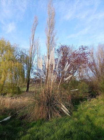 Petit paradis sur 3,8 ha