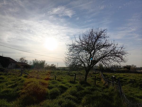 Petit paradis sur 3,8 ha