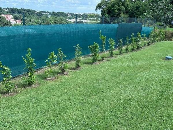 A LOUER MAGNIFIQUE VILLA T5 AVEC PISCINE SUR 1250 M² DE TERRAIN  DANS SECTEUR RESIDENTIEL DE PETIT BOURG