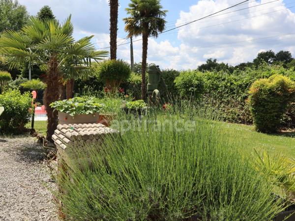 Demeure fin XIXème de 137 m² à fort potentiel avec piscine et parc - Chevanceaux (17)