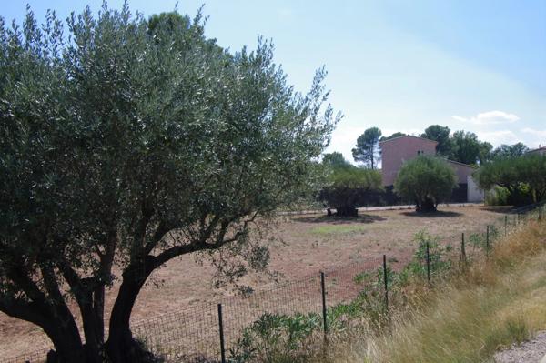 Immobilier Lorgues (83510) – Terrain 1200m2 – 190 000 €