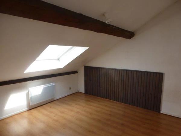 Appartement à louer à Villeurbanne (69100)