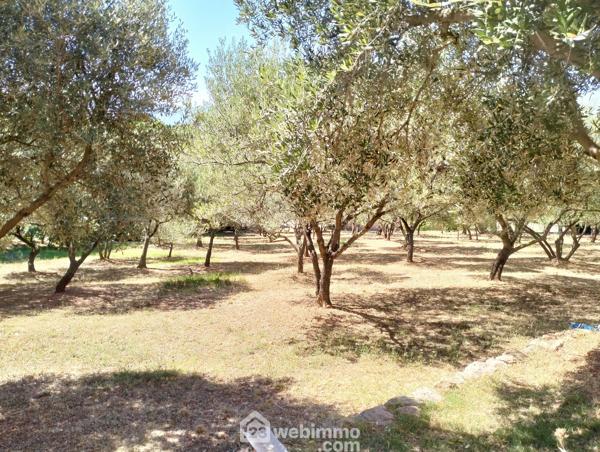 Villas 136 m² à Le Cannet-des-Maures 83340