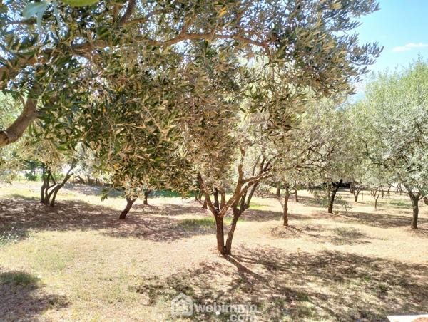 Villas 136 m² à Le Cannet-des-Maures 83340