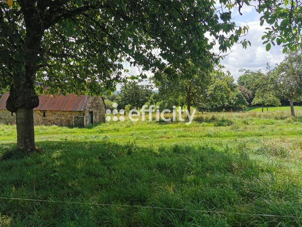 Maison 5 pièces - 131 m² Exclusivité efficity