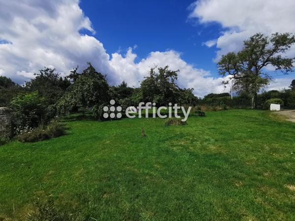 Maison 5 pièces - 131 m² Exclusivité efficity