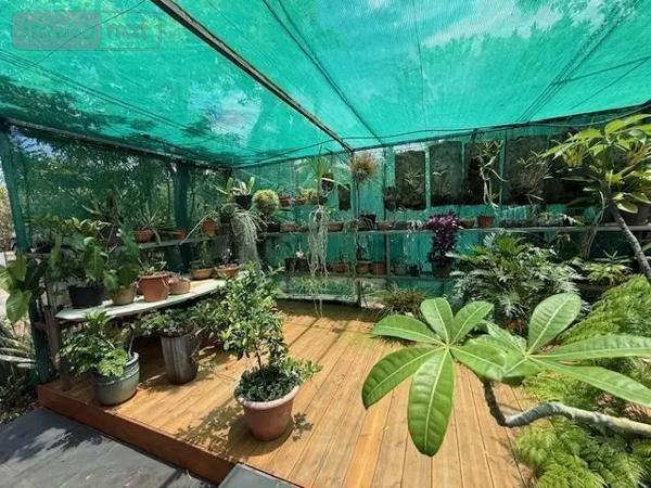 Achat - Maison Saint-Pierre 97250 5 pièces 251 m 2 914 m 2