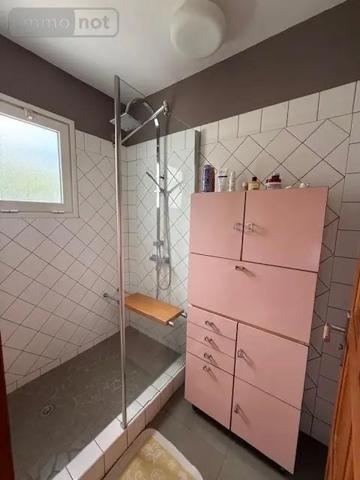 Achat - Maison Saint-Pierre 97250 5 pièces 251 m 2 914 m 2