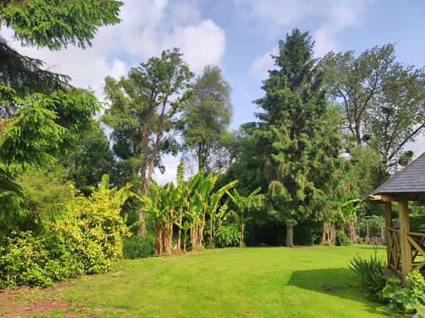 Bringolo (22170) longère