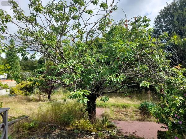 Maison à vendre à Digoin en Saône-et-Loire (71160), ref :