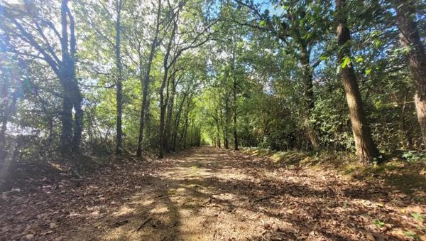 Achat - Maison Précigné 72300 7 pièces 238 m 2 5195 m 2