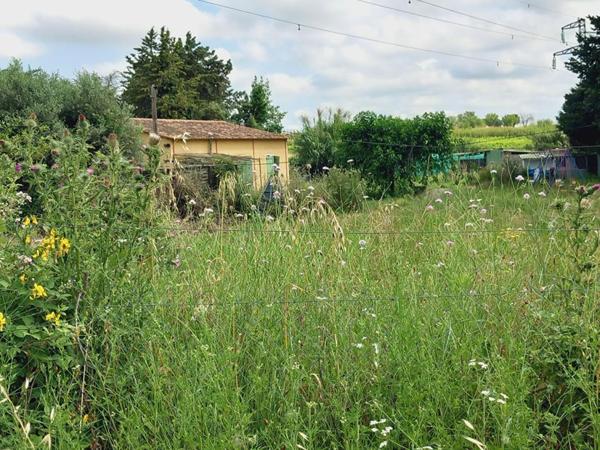 TERRAIN AVEC MAZET  et batiment agricole à Espondeilhan