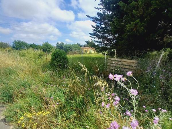 TERRAIN AVEC MAZET  et batiment agricole à Espondeilhan