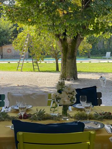 Mas à vendre 9 pièces CABANNES (13)