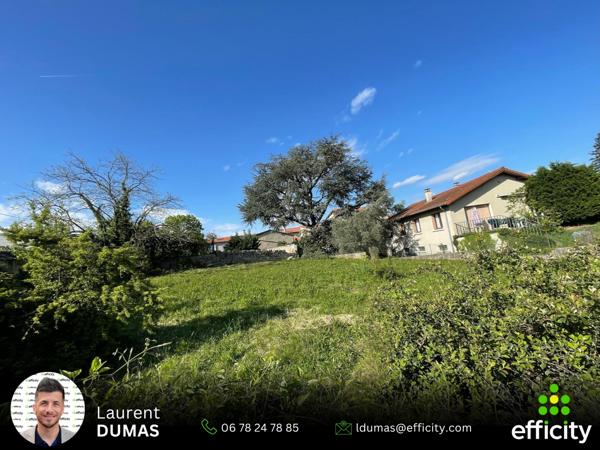 Terrain - 784 m²