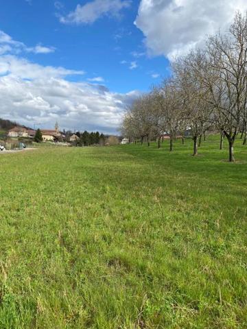 Terrain à vendre à Tullins (38210)
