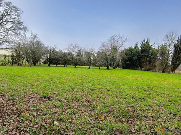 Viager occupé : maison au calme avec grand terrain