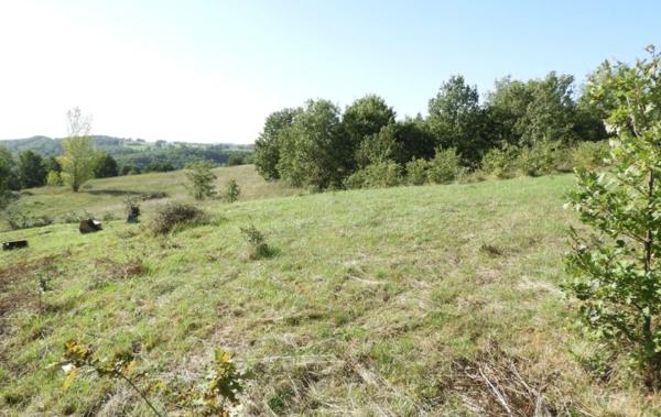 Vente Terrain Realmont