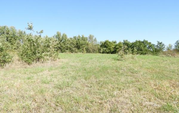 Vente Terrain Realmont