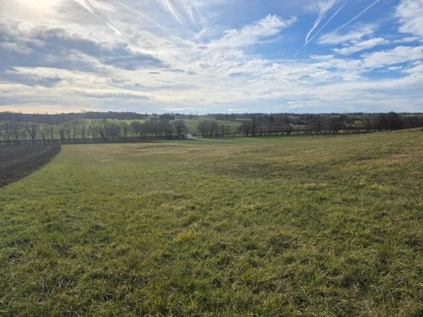 Terrain à vendre |                                       Clermont-Savès |                                          1056 m²
