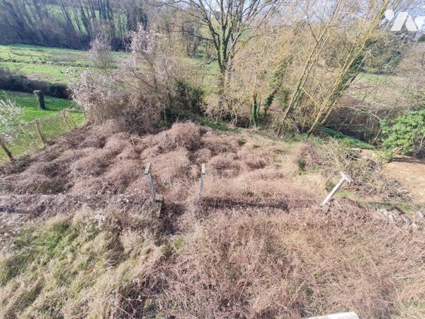 MAISON - A VENDRE - SAVIGNY/ BRAYE (41360)