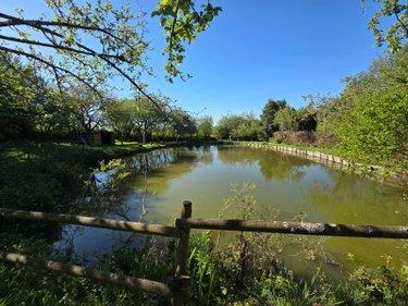 Terrain de loisirs - Bois - Etangs à vendre à Villaines-la-Juhel en Mayenne (53700), ref : 1391 Terrain de loisirs - Bois - Etangs à vendre à Villaines-la-Juhel en Mayenne (53700), ref : 1391