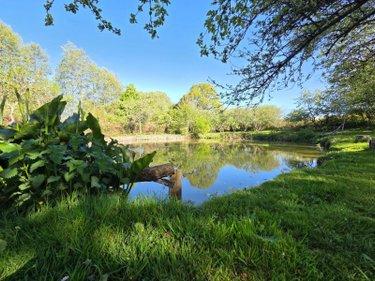 Terrain de loisirs - Bois - Etangs à vendre à Villaines-la-Juhel en Mayenne (53700), ref : 1391 Terrain de loisirs - Bois - Etangs à vendre à Villaines-la-Juhel en Mayenne (53700), ref : 1391