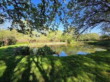 Terrain de loisirs - Bois - Etangs à vendre à Villaines-la-Juhel en Mayenne (53700), ref : 1391 Terrain de loisirs - Bois - Etangs à vendre à Villaines-la-Juhel en Mayenne (53700), ref : 1391