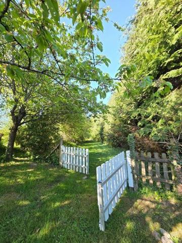 Terrain de loisirs - Bois - Etangs à vendre à Villaines-la-Juhel en Mayenne (53700), ref : 1391 Terrain de loisirs - Bois - Etangs à vendre à Villaines-la-Juhel en Mayenne (53700), ref : 1391