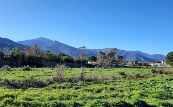 Terrain à bâtir viabilisé libre de constructeur