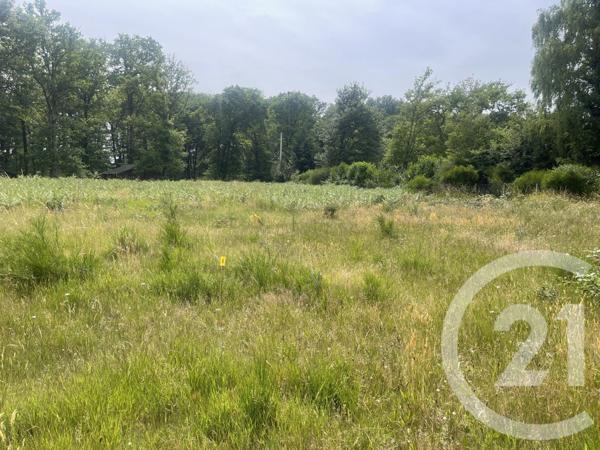 Terrain à vendre  1056 m2 VITRY AUX LOGES - 45