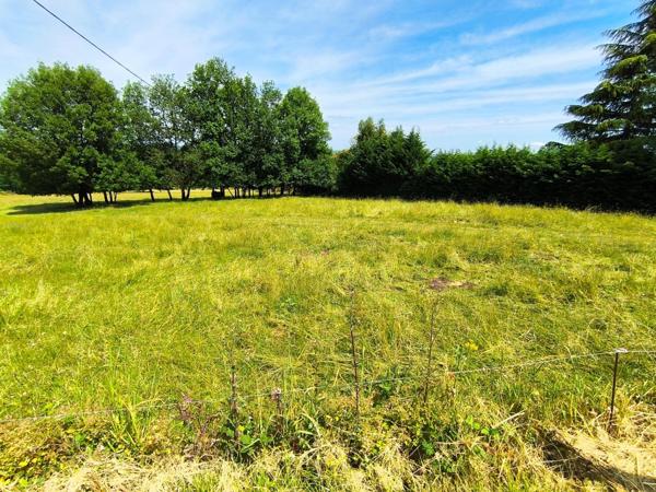 TERRAIN CONSTRUCTIBLE DE 2516 M2