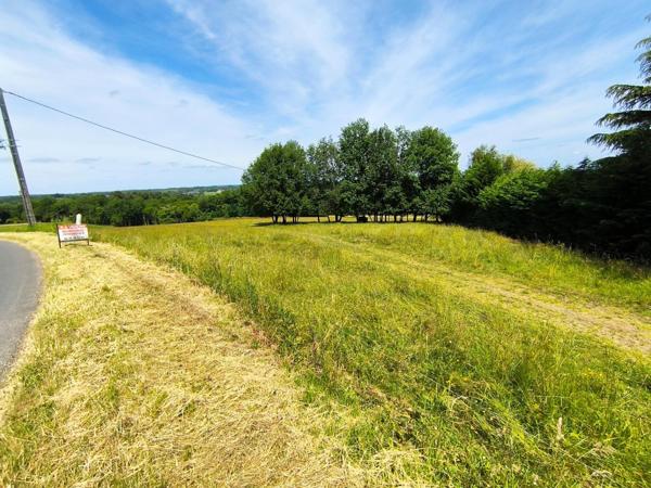 TERRAIN CONSTRUCTIBLE DE 2516 M2