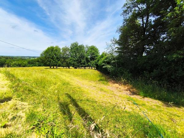 TERRAIN CONSTRUCTIBLE DE 2516 M2