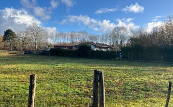 Terrain à vendre |  Louchats |  1500 m²