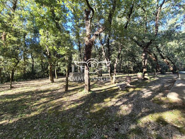 Propriété avec deux villas indépendantes sur un terrain boisé de 4900 m², piscines et garages