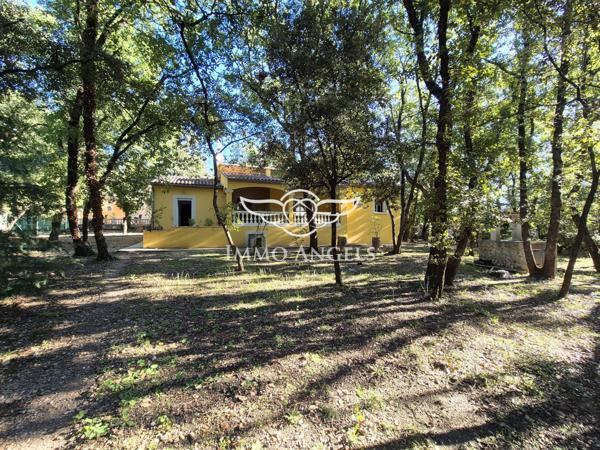 Propriété avec deux villas indépendantes sur un terrain boisé de 4900 m², piscines et garages