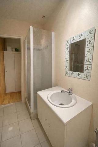 APPARTEMENT ROANNE CENTRE VILLE