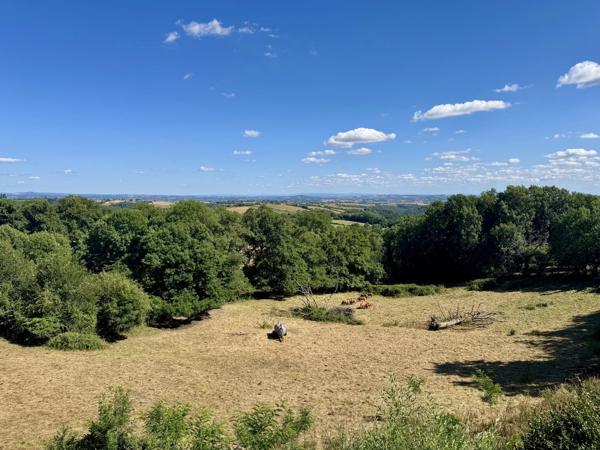 Charmante maison en pierre avec jardin, vue et grand potentiel