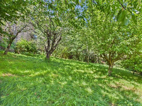 Charmante maison en pierre avec jardin, vue et grand potentiel