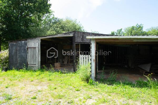 Cette maison ancienne n'attend que vos idées et votre belle énergie pour retrouver sa jeunesse.
Nichée dans une impasse discrète, sans circulation, elle possède un beau potentiel évolutif pour accueillir, par exemple, un couple de primo-accédants avec un petit budget.
Habitable de plain-pied, elle est composée d’une cuisine dinatoire (env 15m2), d’un séjour avec une ancienne cheminée en granit (env 15m2), d'un wc, d'une salle de bain, de 2 pièces en enfilade (chambre avec son bureau, salon de détente ou dressing par exemple) (14 et 10m2 env)
La configuration des pièces peut être modifiée selon vos aspirations.
A l’étage, une grande pièce sous rampants.
A l’arrière de la maison, un espace garage de plus de 30m2 sur dalle béton pouvant être modifié et cloisonné selon vos projets.
La maison est implantée sur un grand terrain de plus de 2000m2 où vous pourrez créer selon vos envies potager, verger etc …
Assainissement individuel neuf
grand cabanon de jardin 
Chauffage électrique 
Fenêtres double vitrage
Vous avez envie de devenir propriétaire ou rêvez d'une petite résidence secondaire à proximité de la mer ? Cette maison vous attend !
10 min de Lannion centre
5 min du bourg de Ploumilliau avec ses commerces et services
4 min de la plage
Contactez-moi vite pour ne pas louper cette belle opportunité.