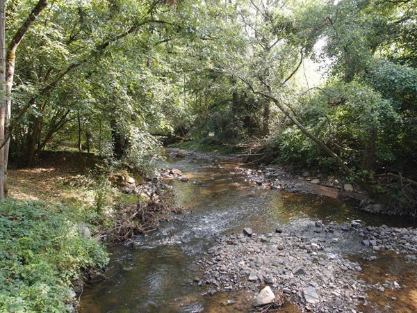 Ancien moulin sur le Clunisois