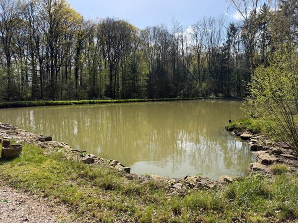 Terrain à NOGENT-LE-BERNARD, 72110 - 17193m²